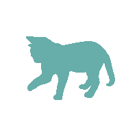 Katze2