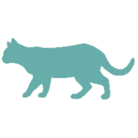 Katze4