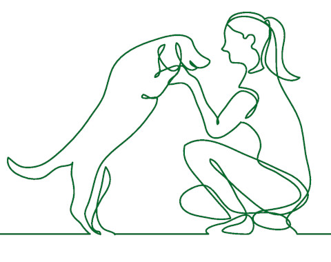 Tierkrankenversicherung Icon